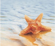 Starfish (Ceradim) (Dec Starfish 1 Panno (панно из 2-х шт) КПН16Starfish1 50х45)