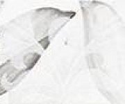 Каррарский Мрамор (LB-CERAMICS) (Каррарский Мрамор Бордюр цветы 1504-0145 7,5х45)